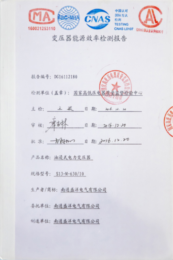 S13-M-630/10油浸式电力变压器能源效率检测报告